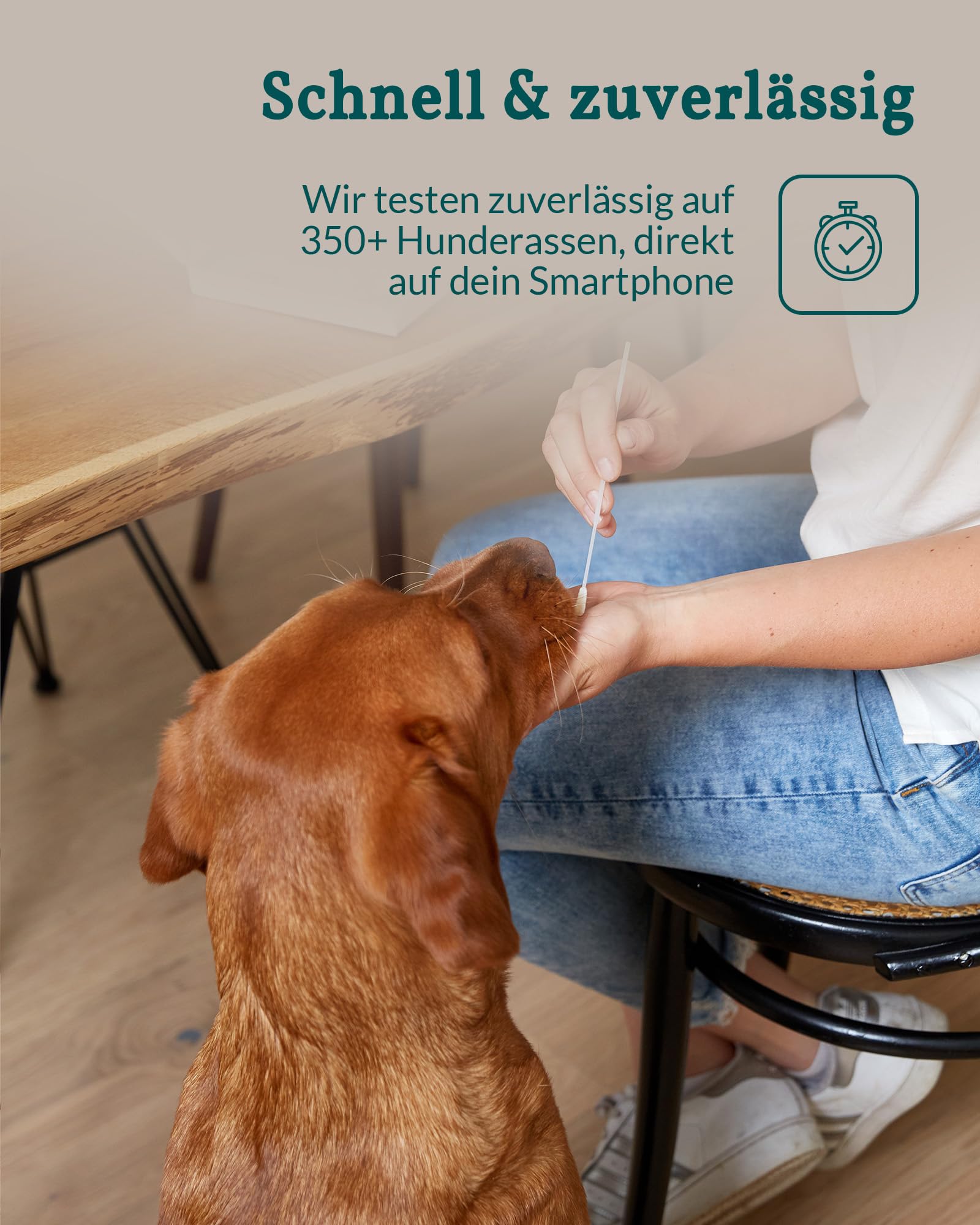 vetevo DNA Test Hund - Rassenbestimmung & MDR1 Gendefekt - 400+ Rassen | Speichelprobe bequem von zu Hause, Auswertung in der vetevo App, sorgfältige & verlässliche Laboranalyse
