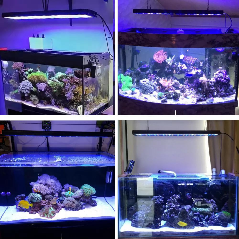 PopBloom illuminazione acquario a led lampada acquario a led recifal acquario di barriera luce acqua di mare per acquario marino vasca coralli (Lampada da 75cm)
