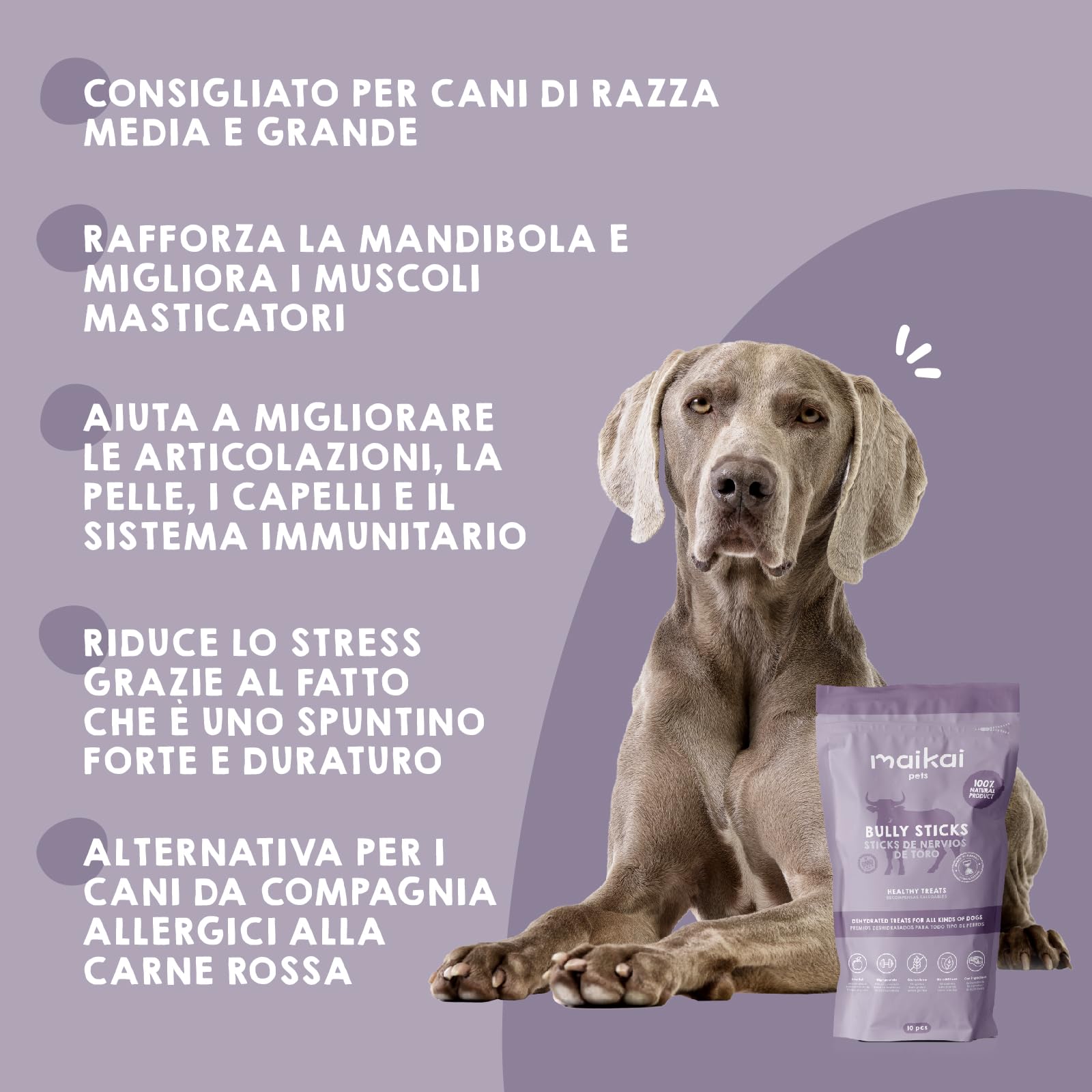 MAIKAI Nervo di Bue Snack 100% Naturali per Cani Tutta le Età + Premietti per l´Addestramento Cuccioli 10 Pezzi Dieta BARF + Bastoncini Ossa Ideali per i Denti - Regali Per Cani