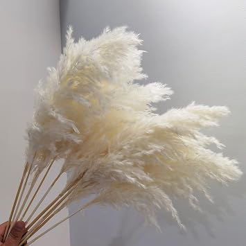Pampas Grass Natural Cream Dry Pampas Grass, Boho Dried Flowers Wedding Home Decoration 20 Stems 23 inches Natural