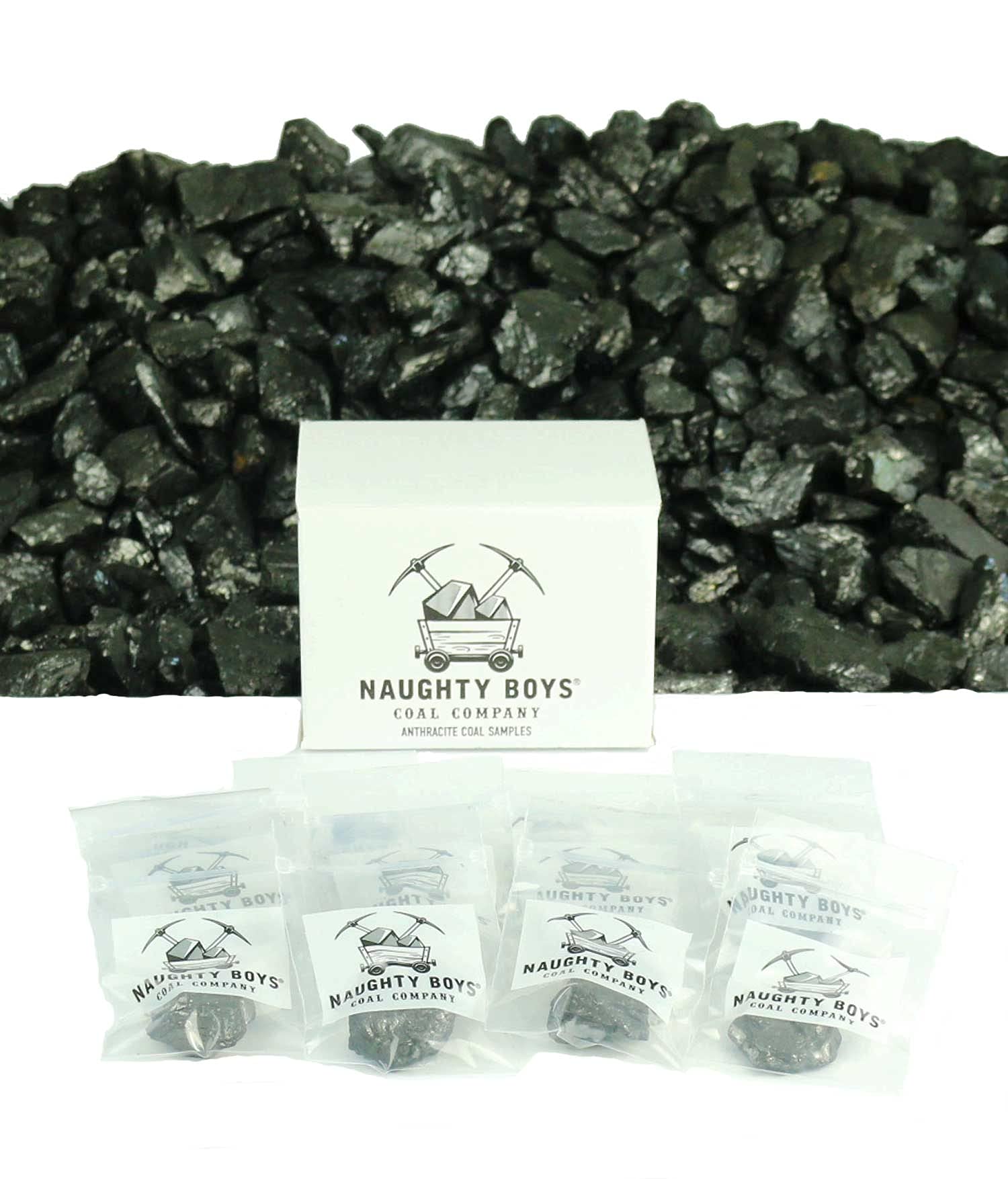 Naughty Boys Coal Company, 12 Nut Coal Bag Samples, Coal for Christmas Stockings, Geological Samples
