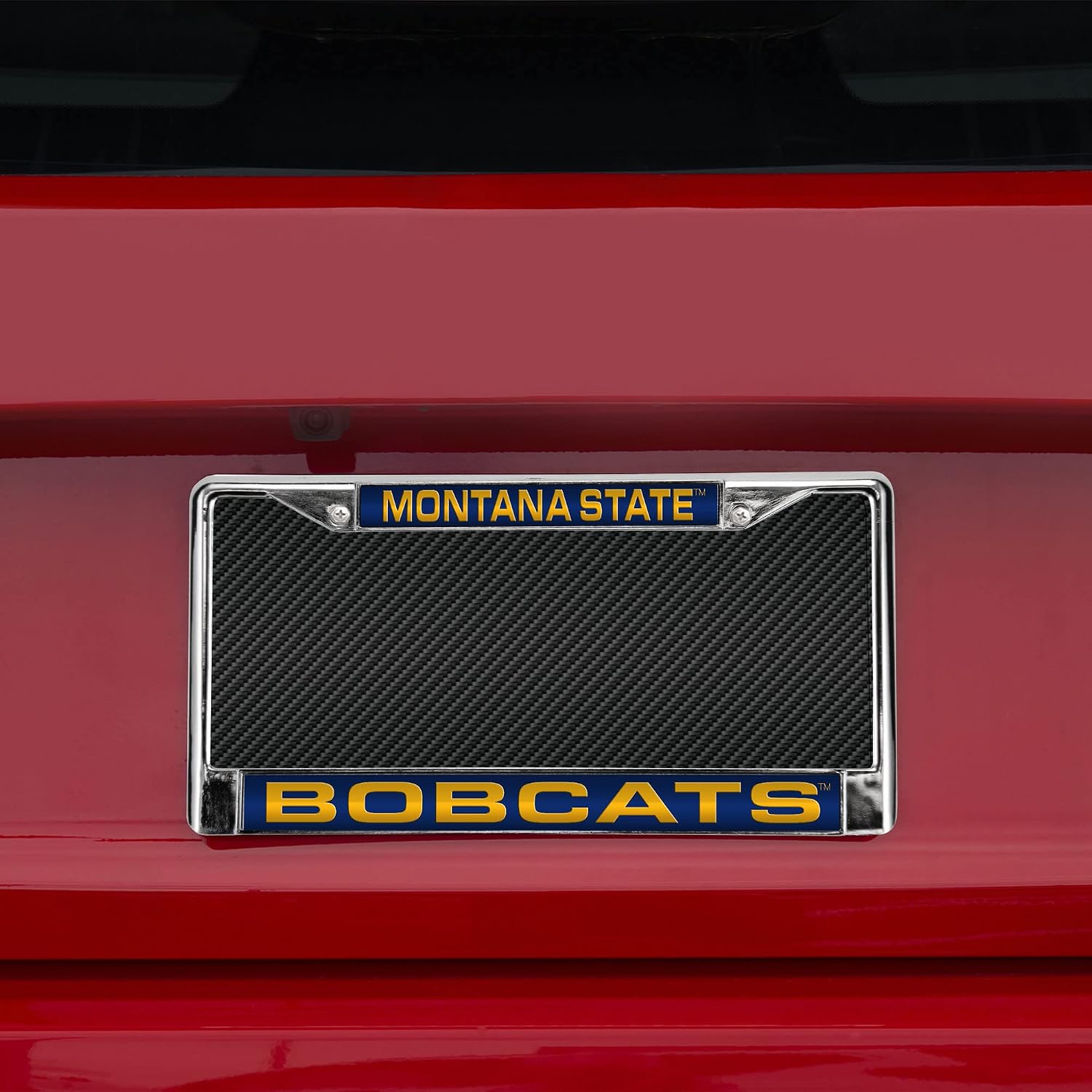Rico Industries NCAA Unisex Laser Cut Inlaid Standard Chrome License Plate Frame