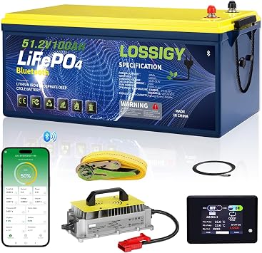 Lossigy Golf Cart Lithium Conversion Kit 48V 100AH Battery,with 18A Lithium Charger,Built in 200A Bluetooth BMS & 10.24kW Output, 48 Volt 100Ah for Golf Cart, Peak Current 1000A3-5s