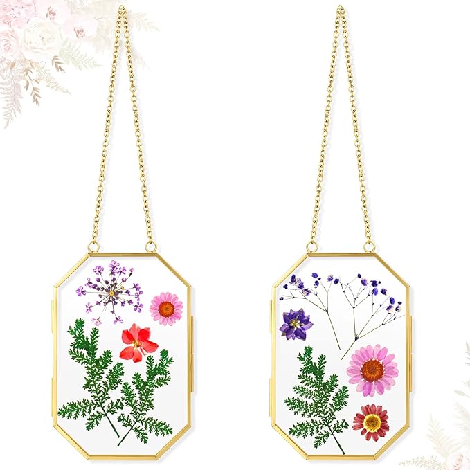 2 Pcs Floating Frame Double Clear Hanging Glass Frames for