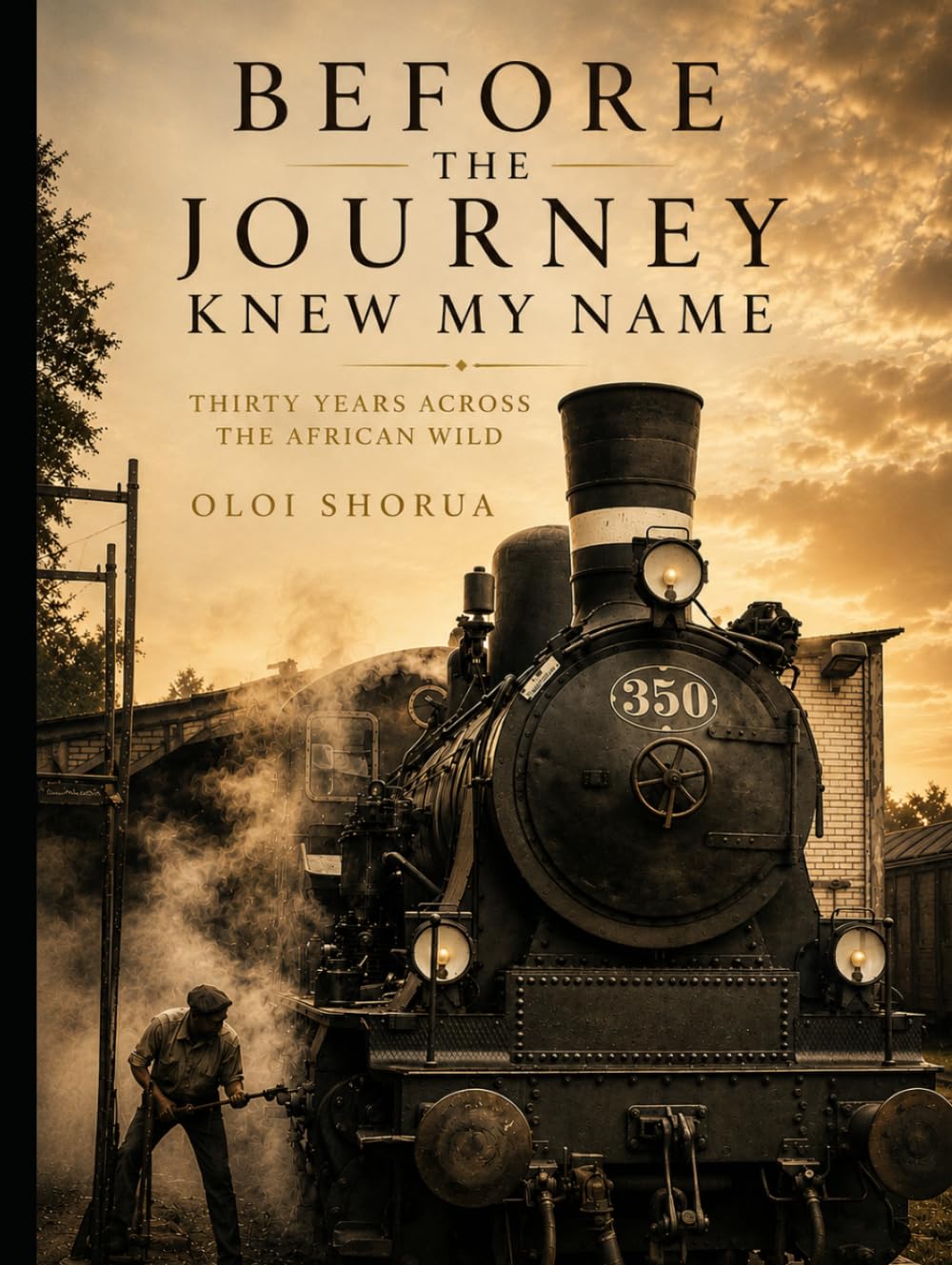Before The Journey Knew My Name: Thirty Years Across the African Wild