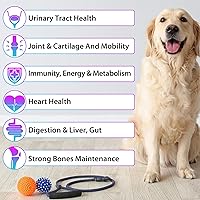 Vista 3 de Gotas multivitamínicas para perros 15 en 1 Multivitamínico líquido con glucosamina, MSM y Omega para la salud de las articulaciones, el corazón