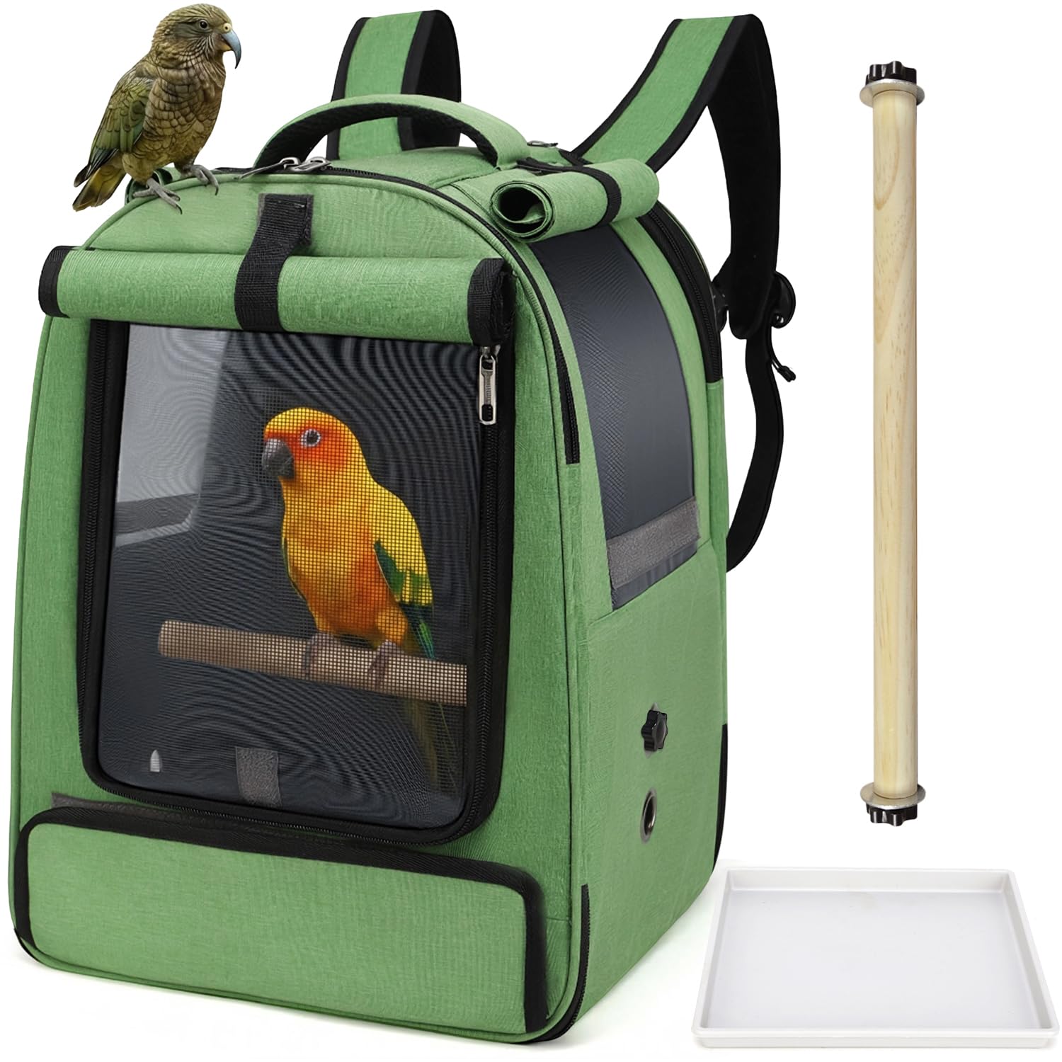 ALLSOPETS Bird Backpack Carrier for Parrots and Small Pets – Breathable Bag with Adjustable Perch and Removable Tray, Perfect Bird Carrier for Outdoor Trips (Forest Green)