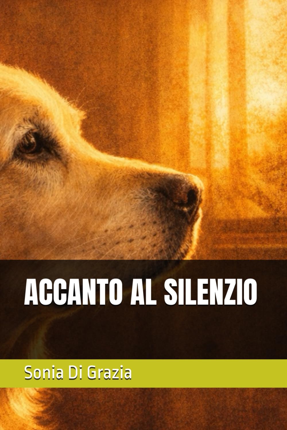 ACCANTO AL SILENZIO