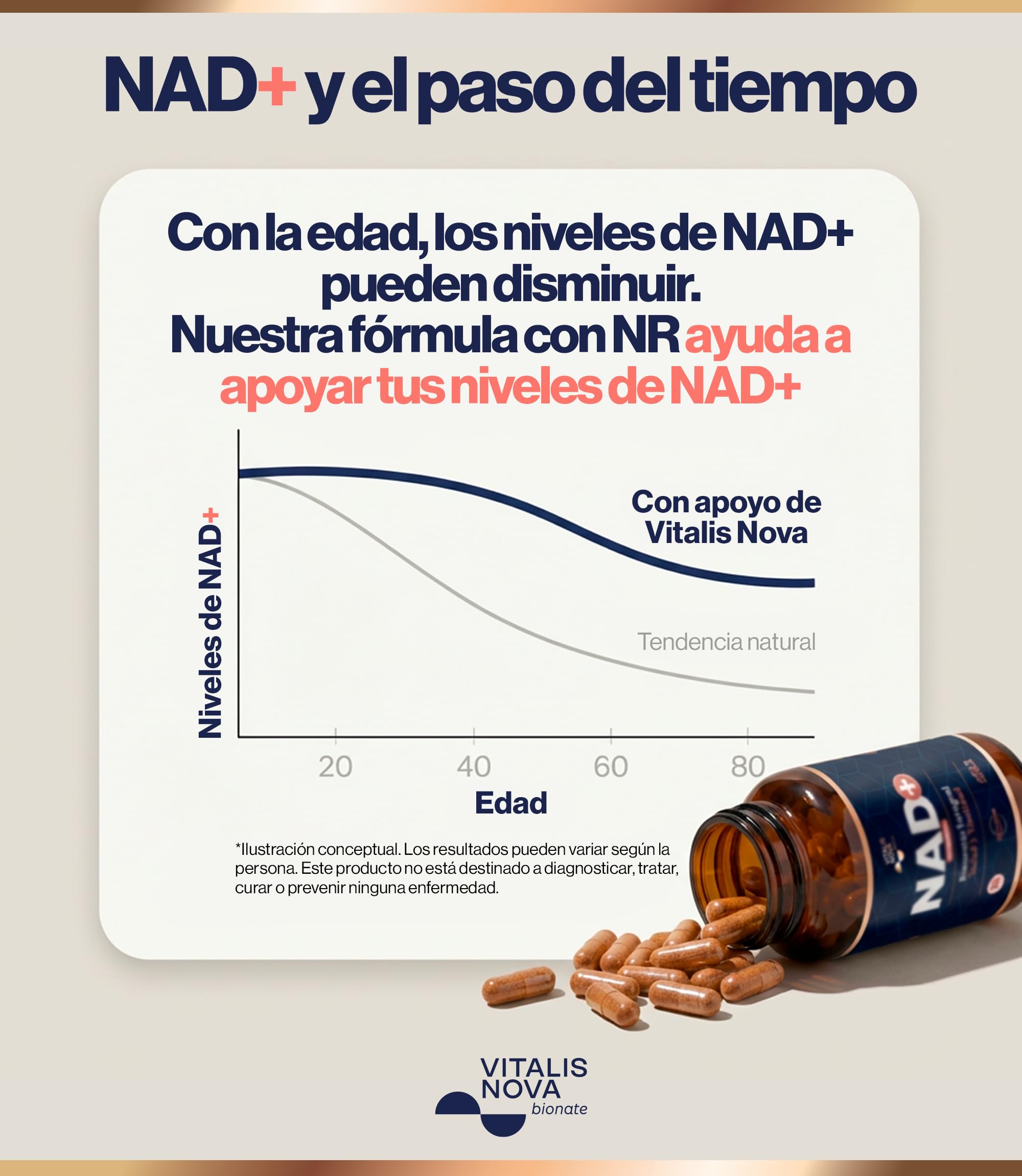 NAD+ Trans Resveratrol Alta Pureza con Nicotinamide Riboside 500mg Quercetina 250mg Apigenina 150mg Ácido Alfa Lipoico 150mg 90 Capsulas Energía Celular Longevidad Antioxidante Piel Anti Age Vitalidad