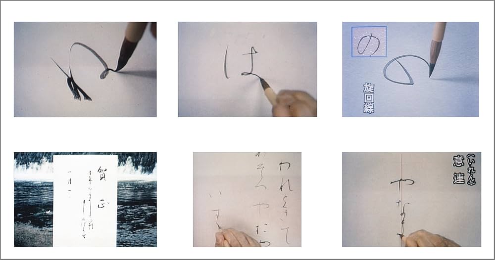 DVD かなのレッスン 入門編 (二玄社ビジュアルライブラリー