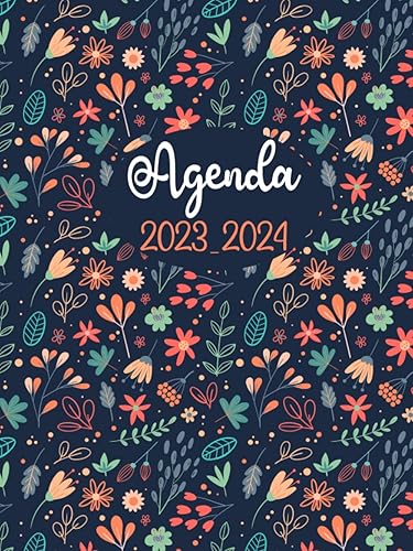 Agenda Semainier 2023-2024 Agenda Semainier 24 Mois 2023-2024, Planificateur hebdomadaire grand format A4, 2 Pages Par Semaine, Jolie Couverture.
