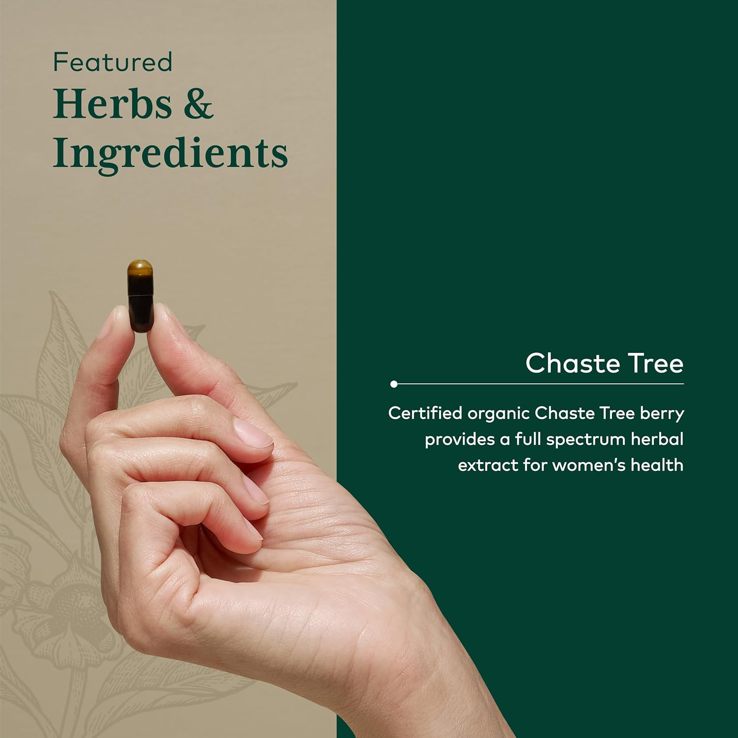 Gaia Herbs Pro Vitex PRO- Supplement Supports Normal Menstrual Cycle & Healthy Menopause* - Progesterone Support Supplement* with Organic Chaste Tree Berry Extract - 60 Liquid Phyto-Caps (30 Servings)