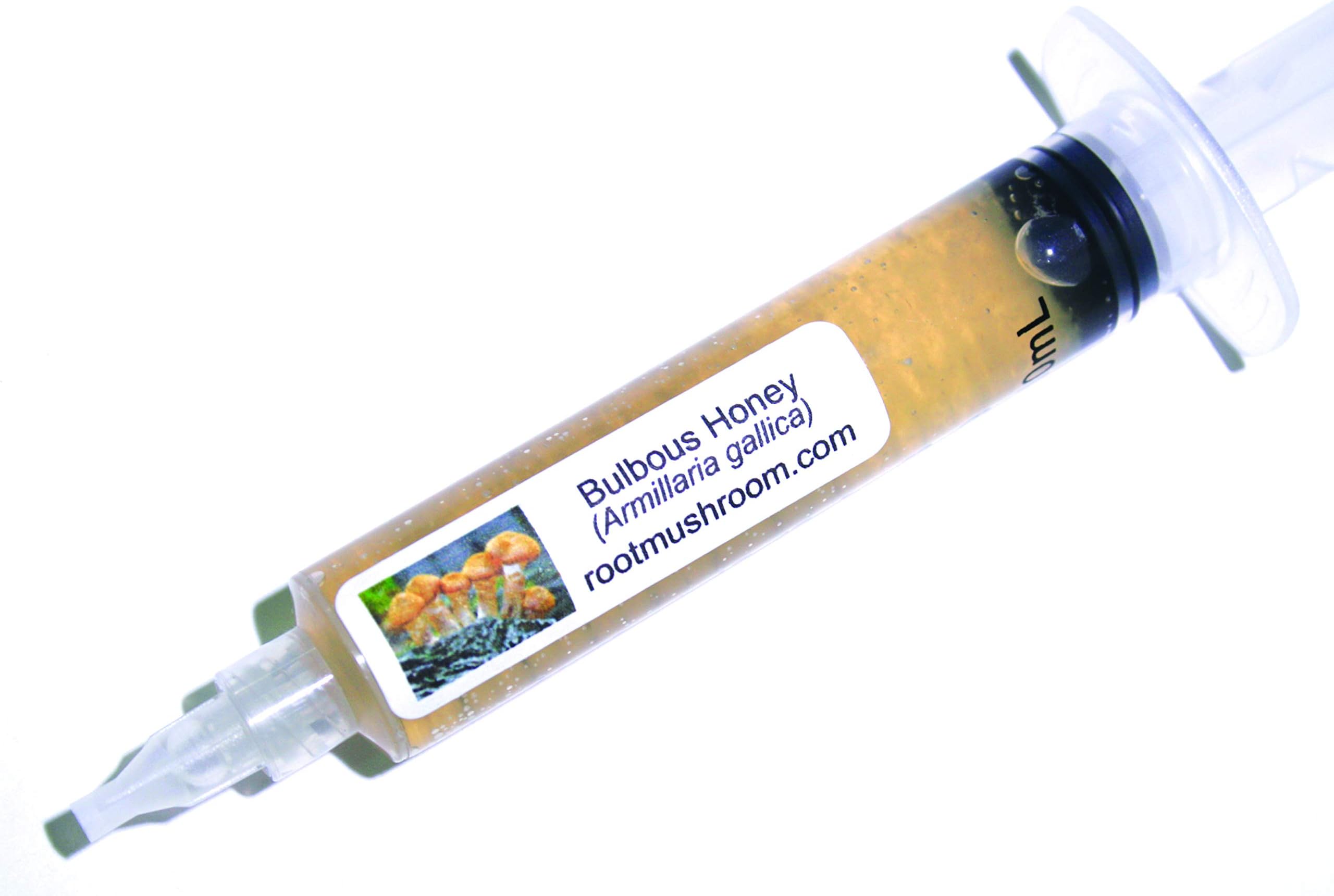 Root Mushroom Farm- Mushroom Liquid Cultures/Bulbous Honey(Armillaria gallica)