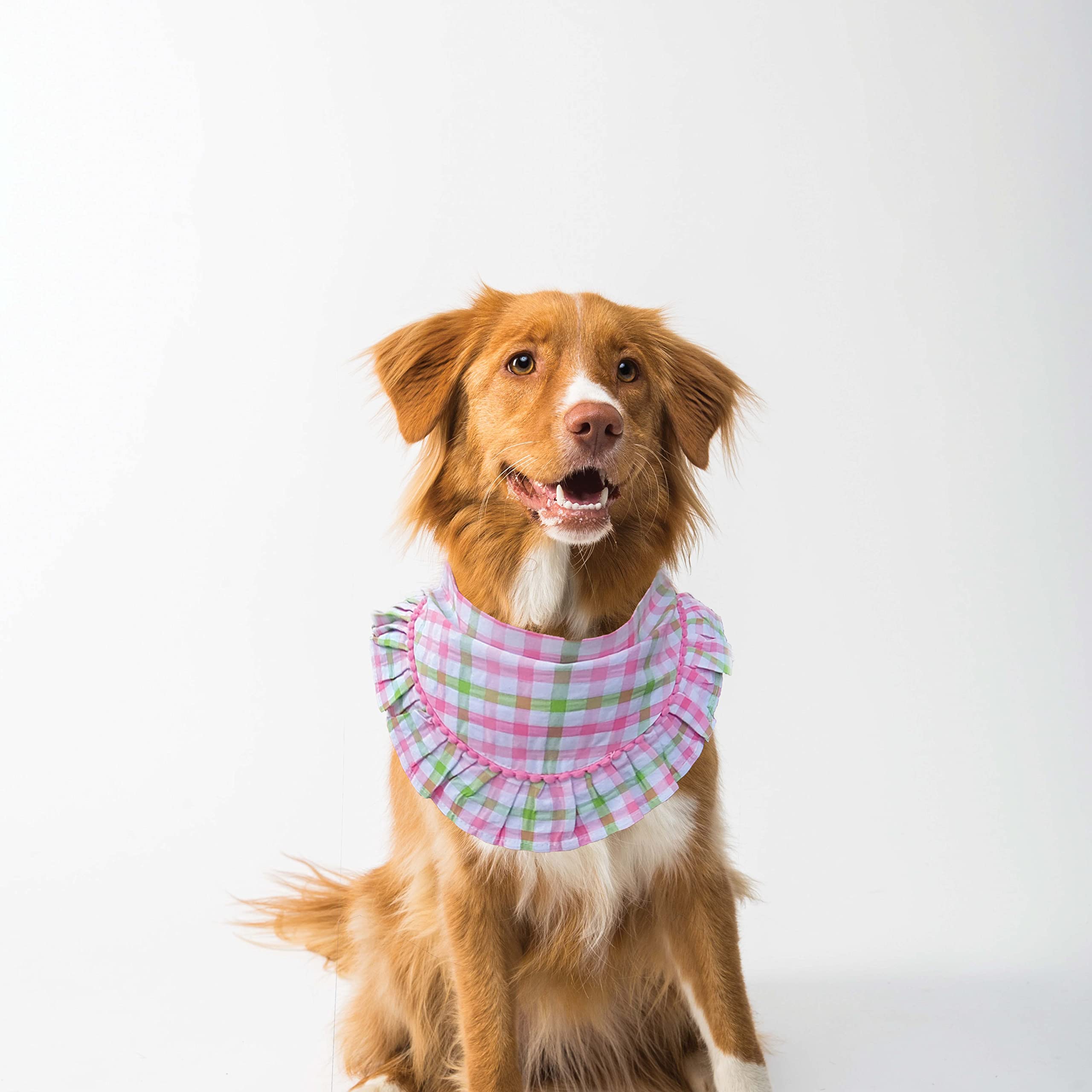 See full amazon price history chart for NUEVOS DOGGADIL Check Pattern Pet Bandana | Pet Round Frill Bib| Pet Scarf_ Multicolor NUEVOS DOGGADIL Check Pattern Pet Bandana | Pet Round Frill Bib| Pet Scarf_ Multicolor (B0BYD7YR4N) Amazon Price History, Amazon Price Tracker