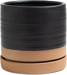 HERDUK 6 Pots de plantes de pouce, pot de planteur en céramique avec trou de drainage & Sauceur, Pot de planteur rond de cylindres intérieur/extérieur, vert & Béige