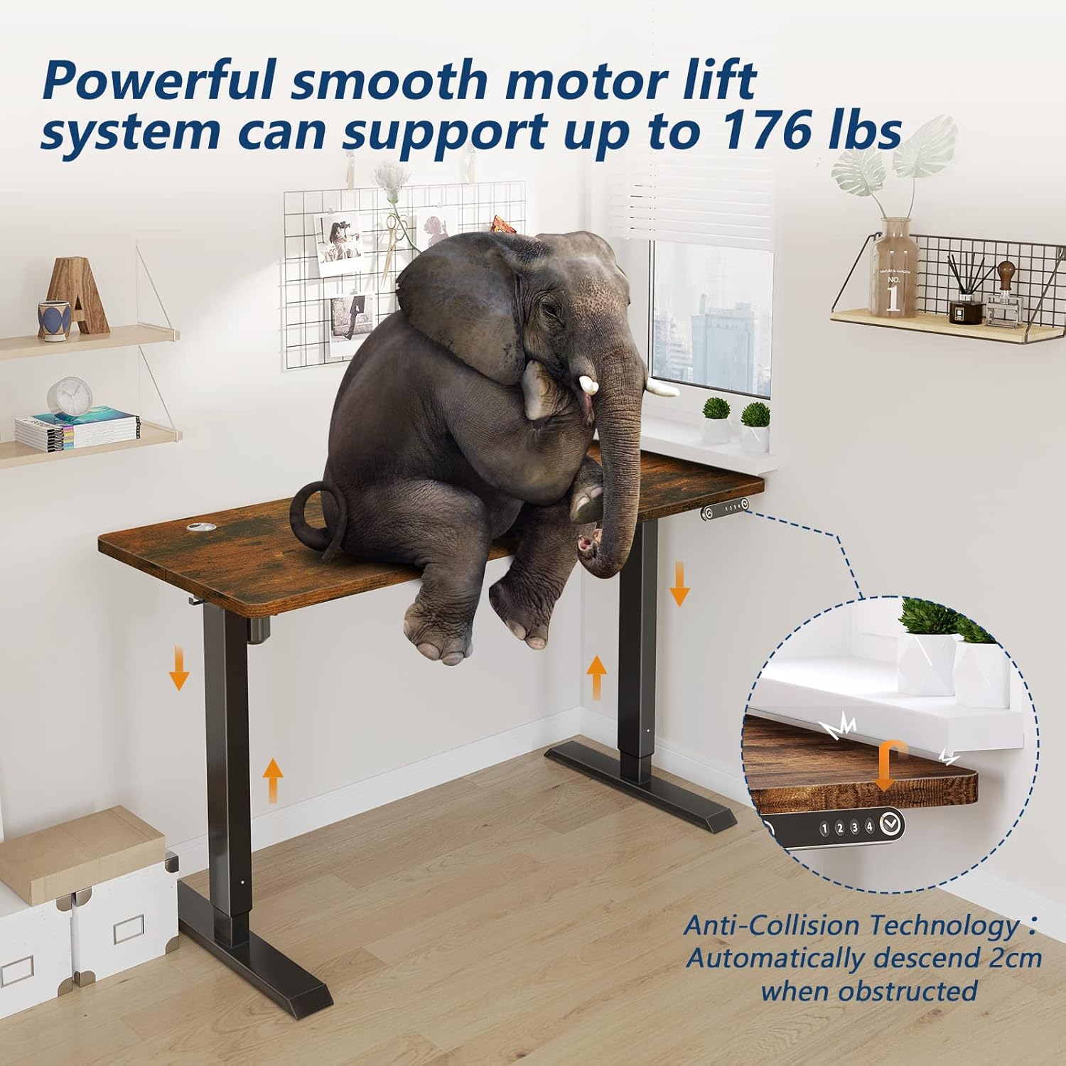 Buy KKL 55inch Height Adjustable Electric Standing Desk, 55 x 28