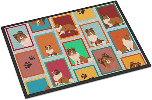 Vista 521 de Caroline's Treasures MLM1087MAT - Felpudo de perro de montaña bernés de 18 x 27 pulgadas, para interiores y exteriores, para entrada, Bernese