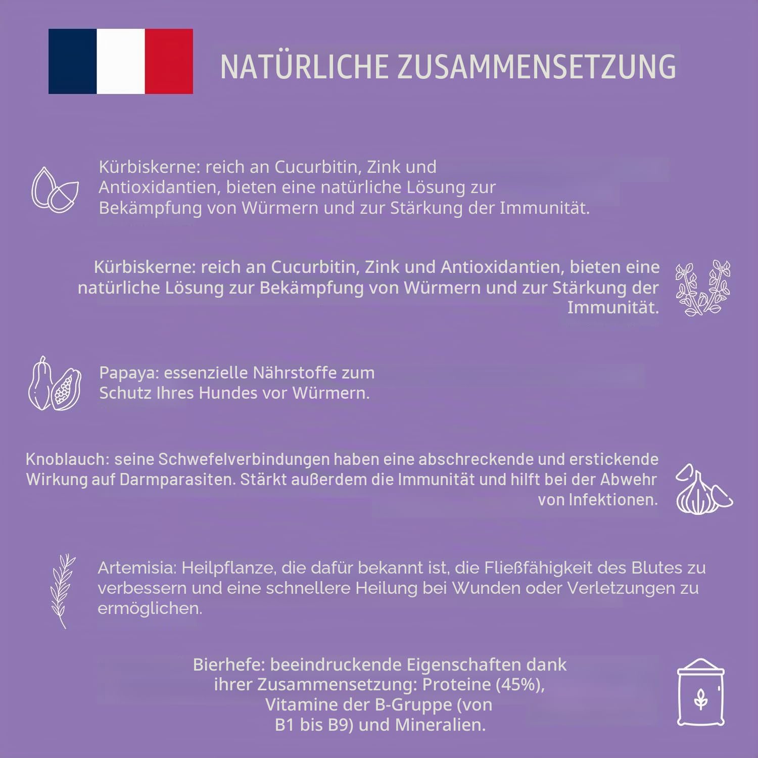 Wurmipurge - Entwurm für Hunde in natürlichen Tabletten - Wirkstoffe zugelassen vom französischen Veterinärdienst Einfach zu verabreichen - 30 schmackhafte