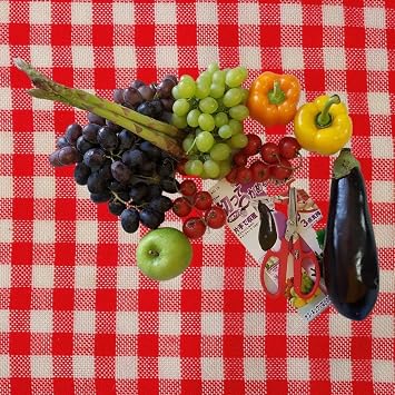 Cactus AG-15 Cut and Grab Catch Shears, 6.7 inches (170 mm)
