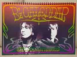 Amazon.co.jp: B'z PARTY ファンクラブ限定 カレンダー 2000年