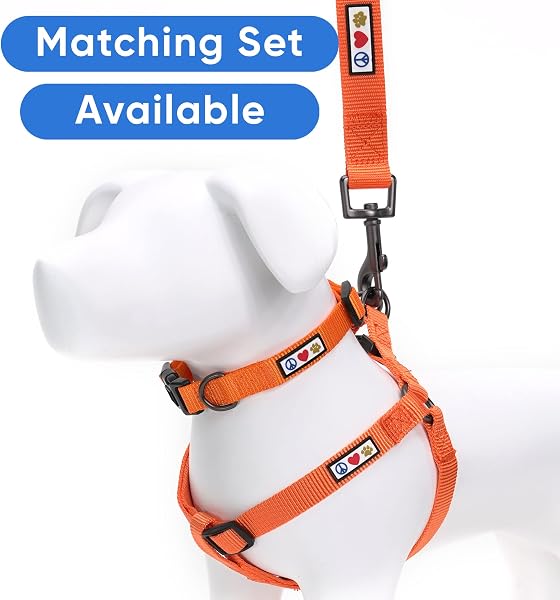 Pawtitas Dog Collar Extra Small Solid Color Dog Collar Adjustable Puppy Collar Orange Dog Collar Matching Dog Leash and Dog Harness Available - 5