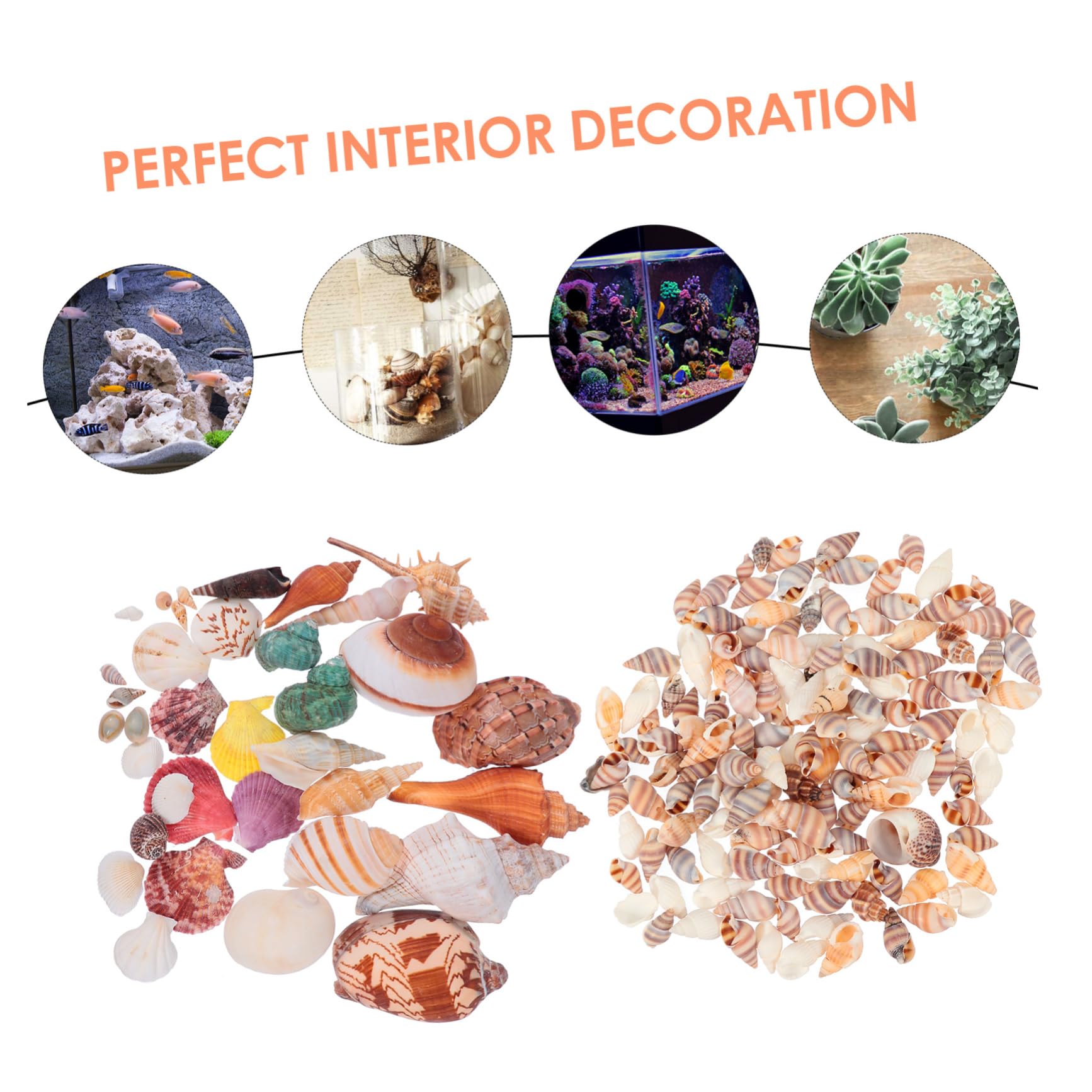1 Ensemble Décoration Aquarium Naturels pour Réservoirs Eau Douce pour Thème