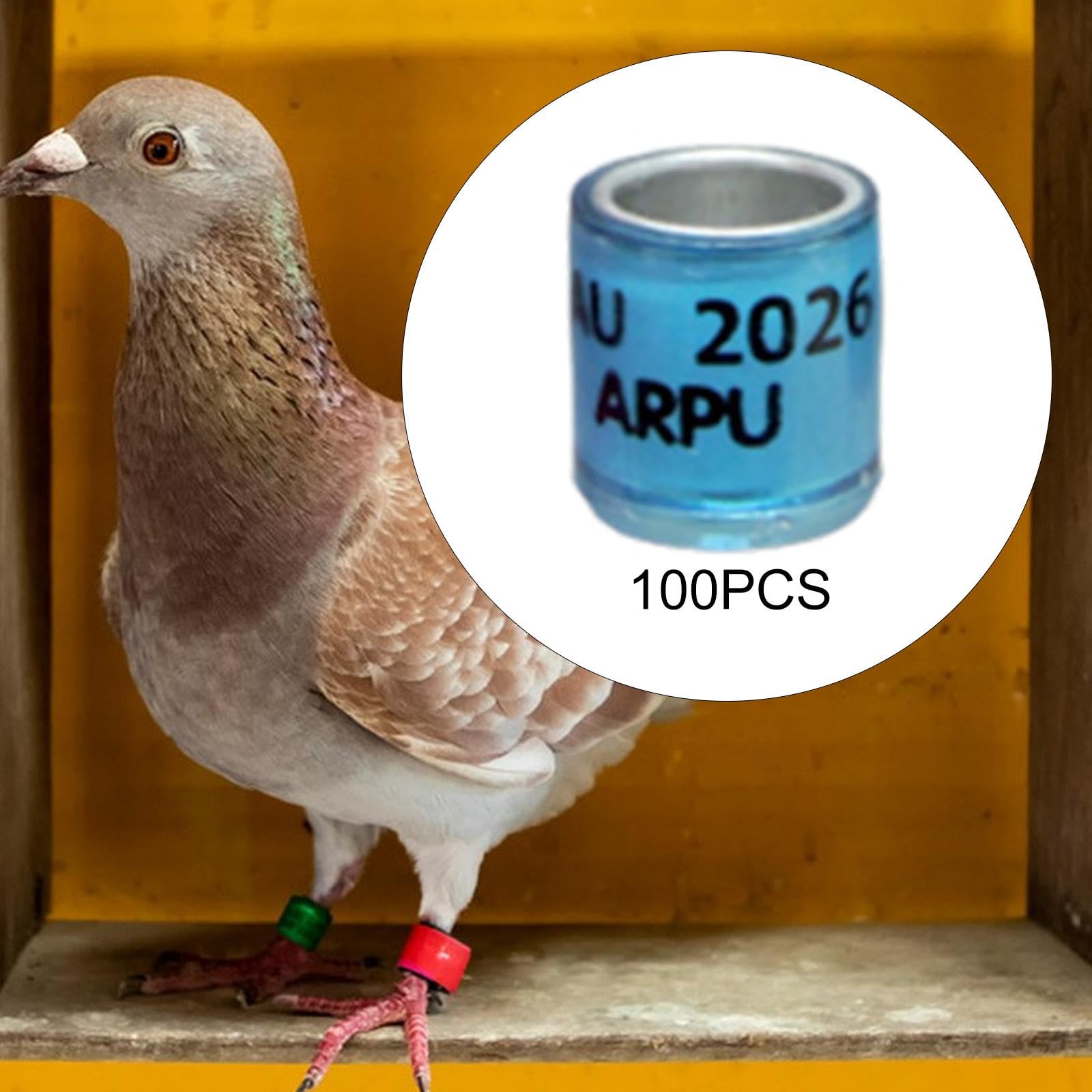 Amazon.co.jp: Benboo 鳩の足環100個パック、鳩の足環識別用、実用的