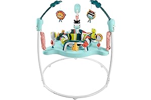 Fisher-Price Baby Activity Bouncer: Leap Into a World of Playful Learning and Development