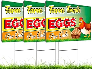 12x16 Inch 3X Double Sided Sign Plastic Eggs for Sale Yard - Farm Fresh Eggs Sign With H-Stakes for Outdoor and Indoor - Funny Signs Chicken Coop Decor - Fresh Chicken Eggs For Sale Sign for Outside