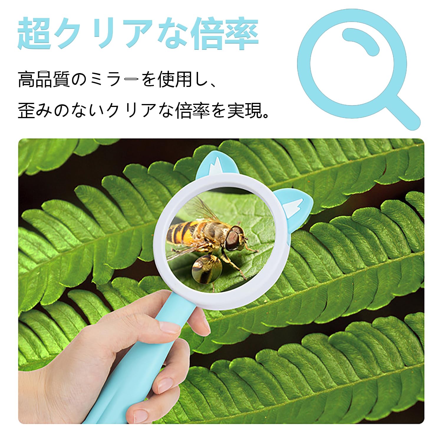 Amazon.co.jp: 虫眼鏡 子供用拡大鏡 手持ち拡大鏡 5倍＆10倍レンズ付き