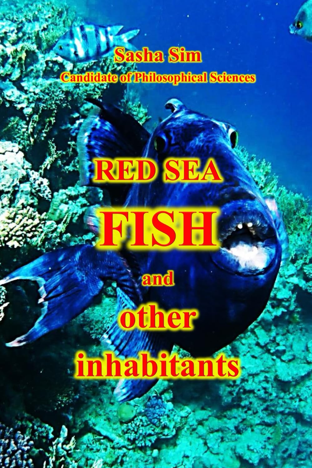 Red Sea fish and other inhabitants: 40 (“The Red Sea – a corner of earthly paradise for body and soul.”)