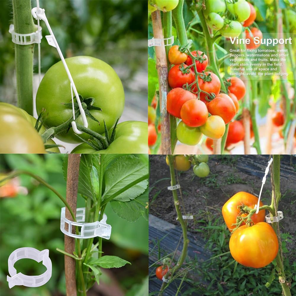 20 Clips De Soporte Para Orquídeas Y Enredaderas - Clips De Plástico