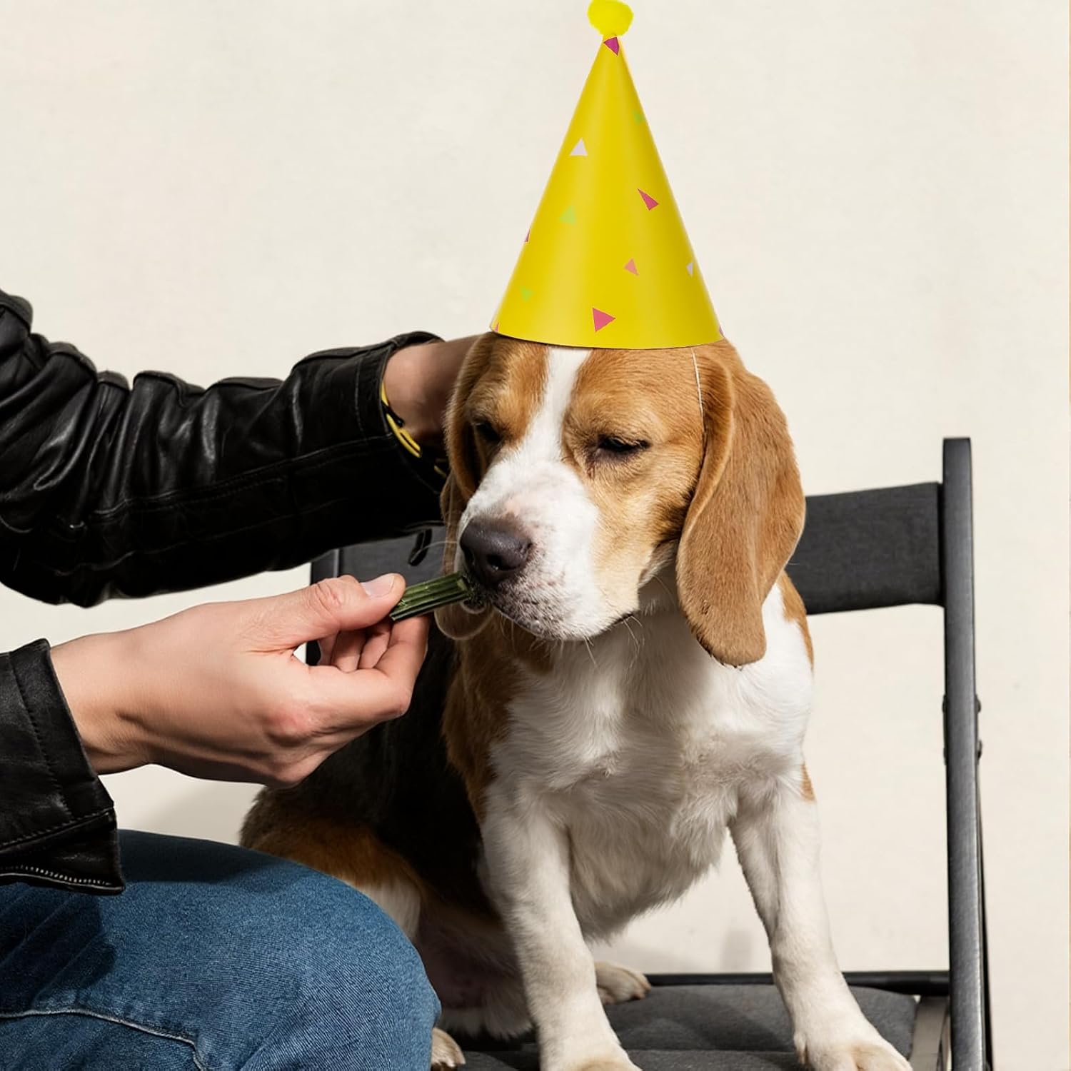 8PCS Mini Birthday Hats for Stuffed Animals Dog Cat Party Hats with Pom Poms Cute Small Stuffed Animal Birthday Party Hat for Kittens Rabbits, Small Dogs