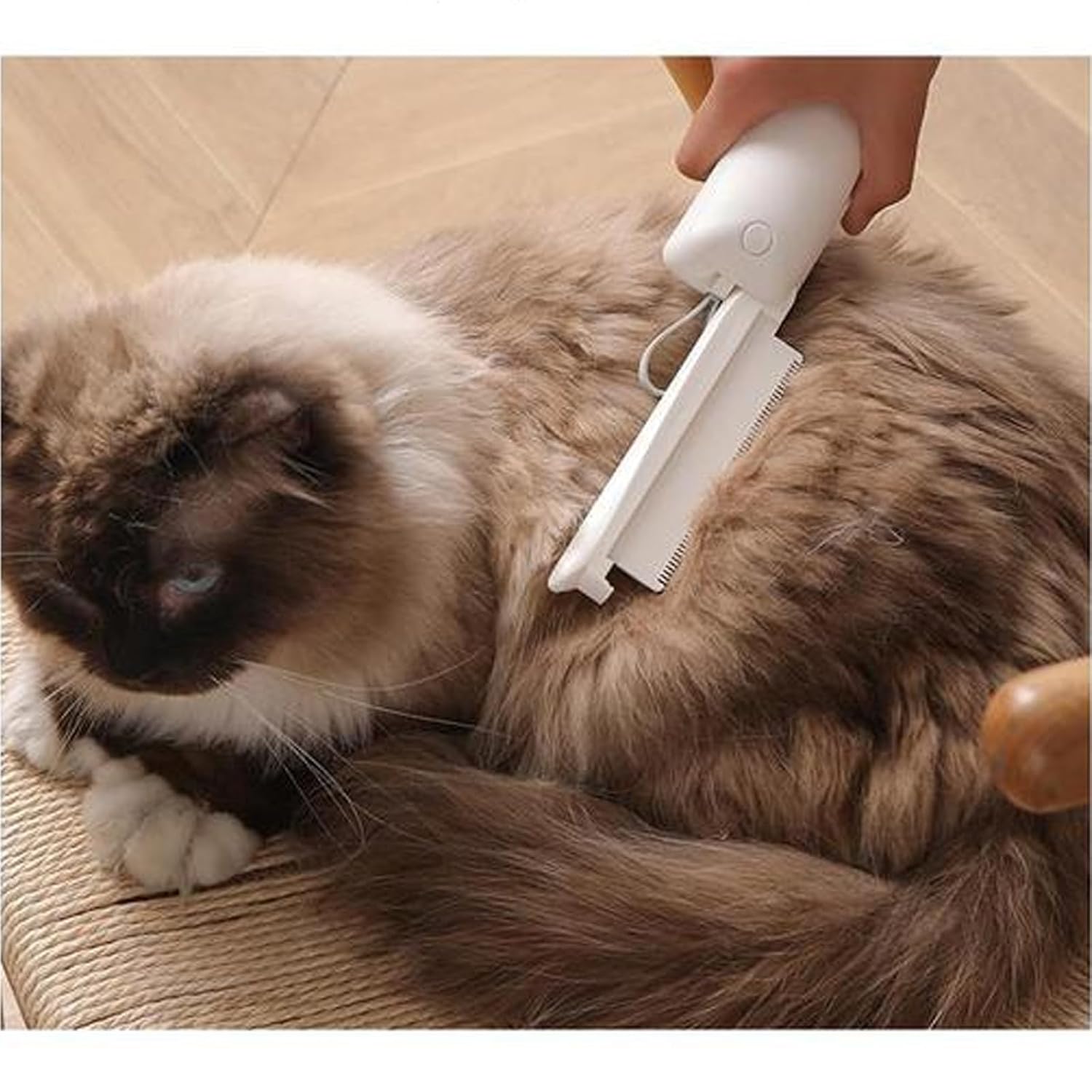 3 in 1 Pet Hair Remover Brush,Reusable Cat And Dog Hair Remover Brush,Gentle Bristles for Grooming Dogs And Cats,White
