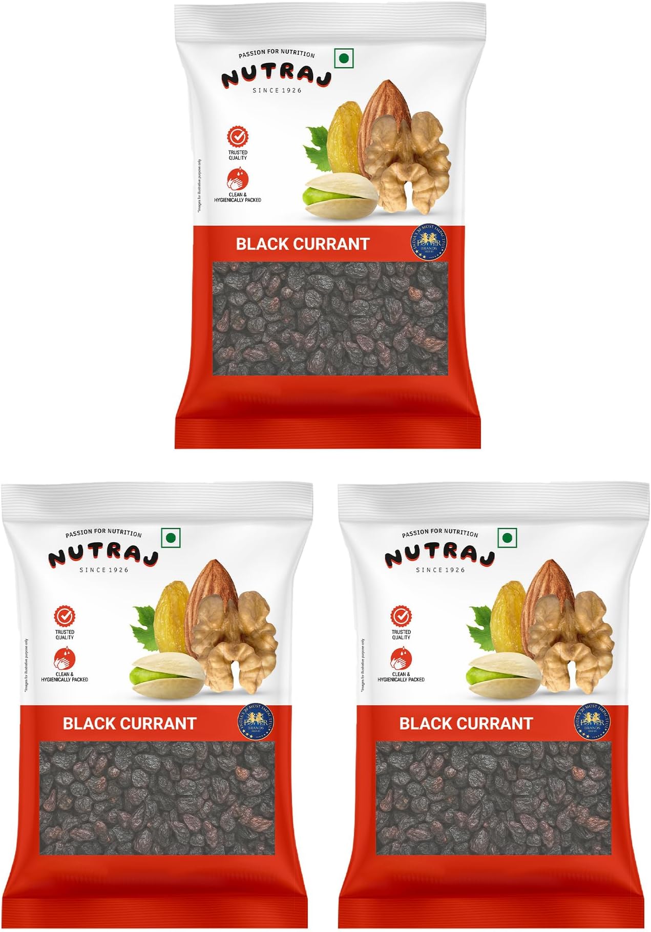 Signature - Greek Black Currant Dried 100G (Pack of 3) - Vacuum Pack