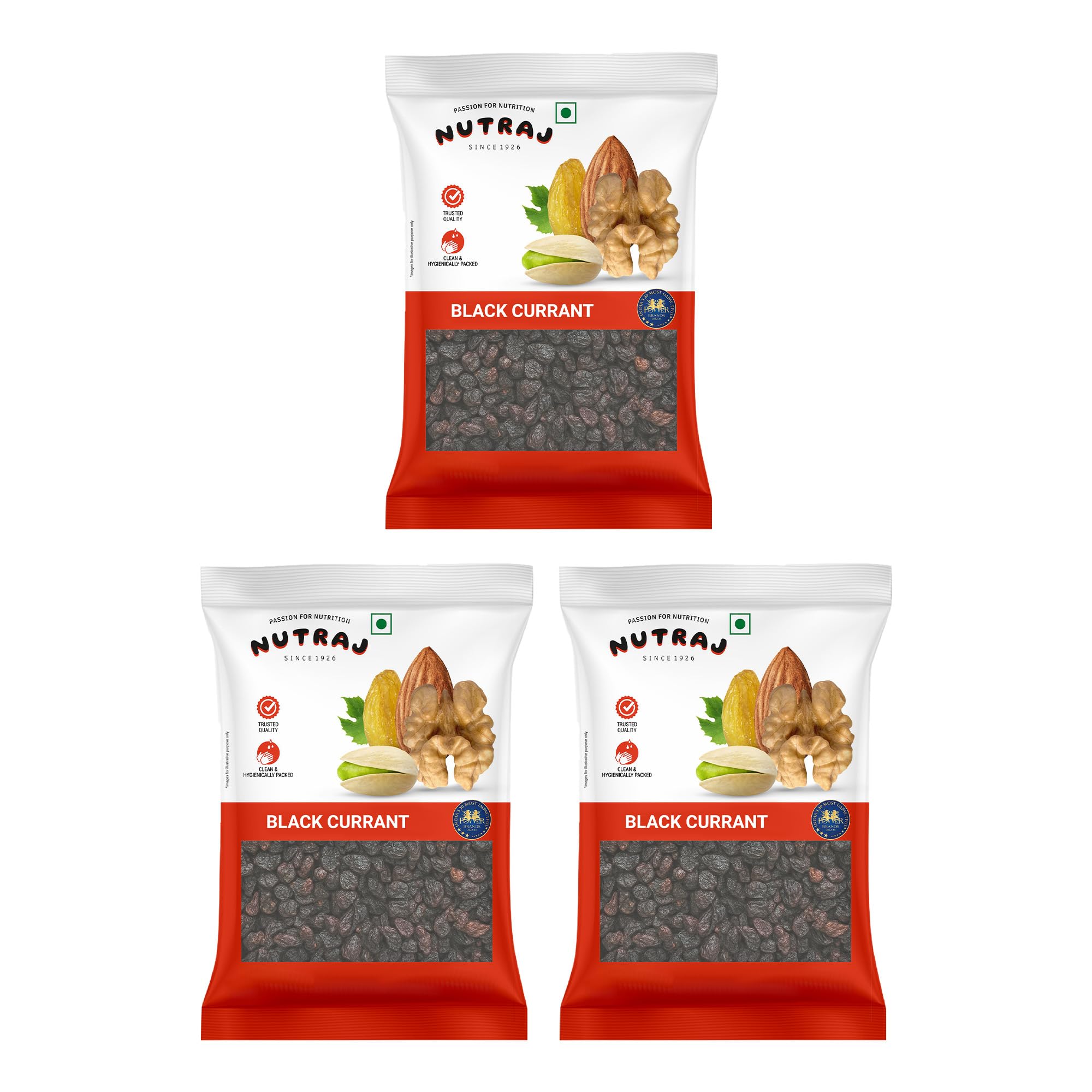 Signature - Greek Black Currant Dried 100G (Pack Of 3) - Vacuum Pack