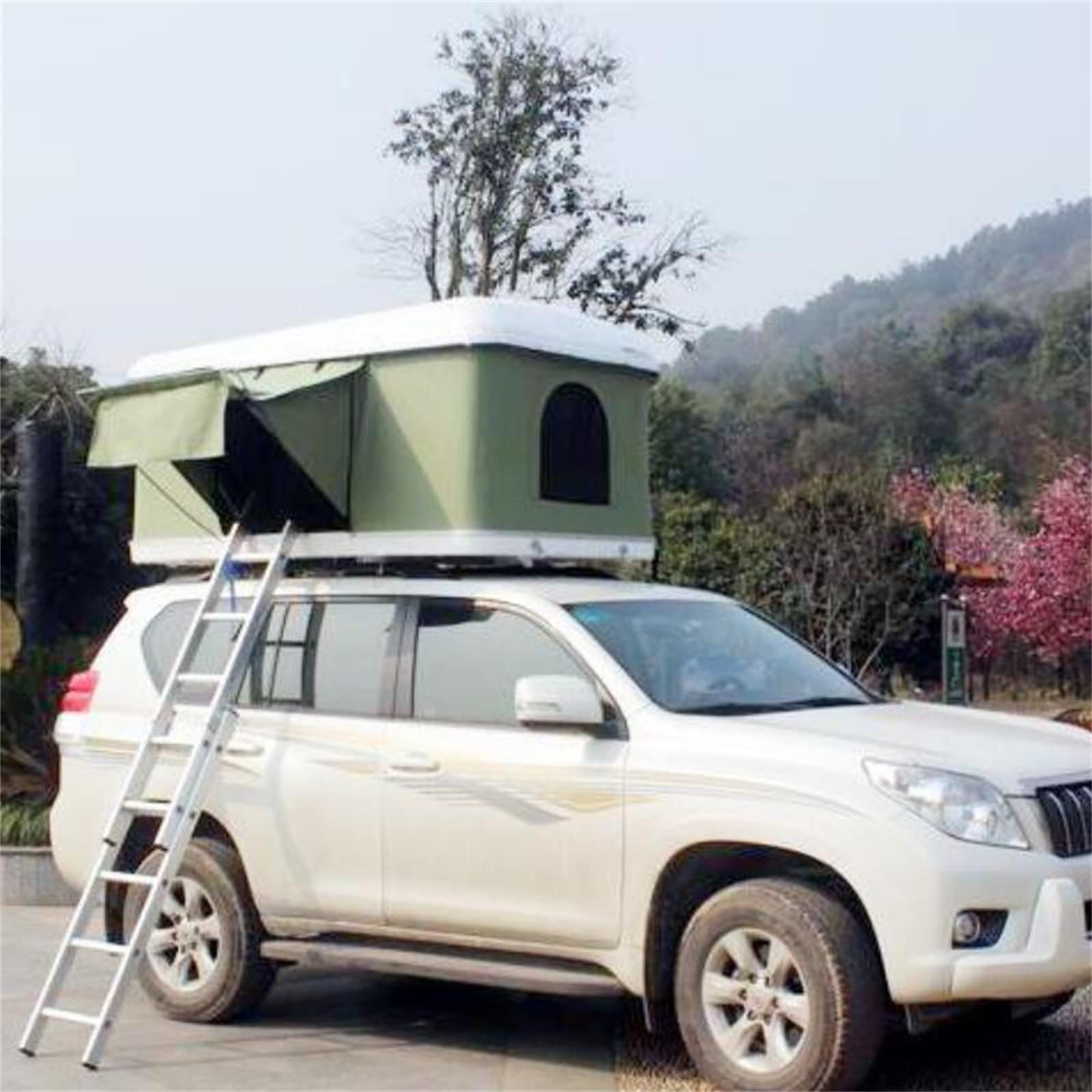 2-3 Person Rooftop Tent Hydraulic Automatic Quick Opening,Outdoor Camping Camping Car Roof Tent Is A Mobile Bedroom Telescopic Ladder,D
