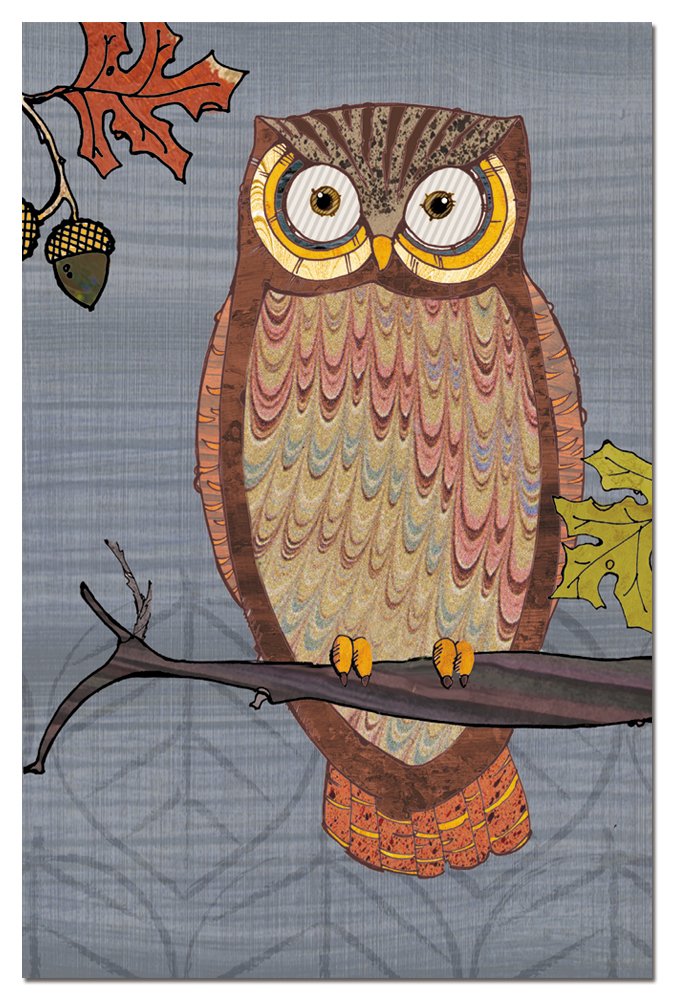 Tree-Free GreetingsEco Notes 12 Count Notecard Set with Envelopes, 4x6 Inches, Awesome Owls II Themed Paul Brent Art (66516)