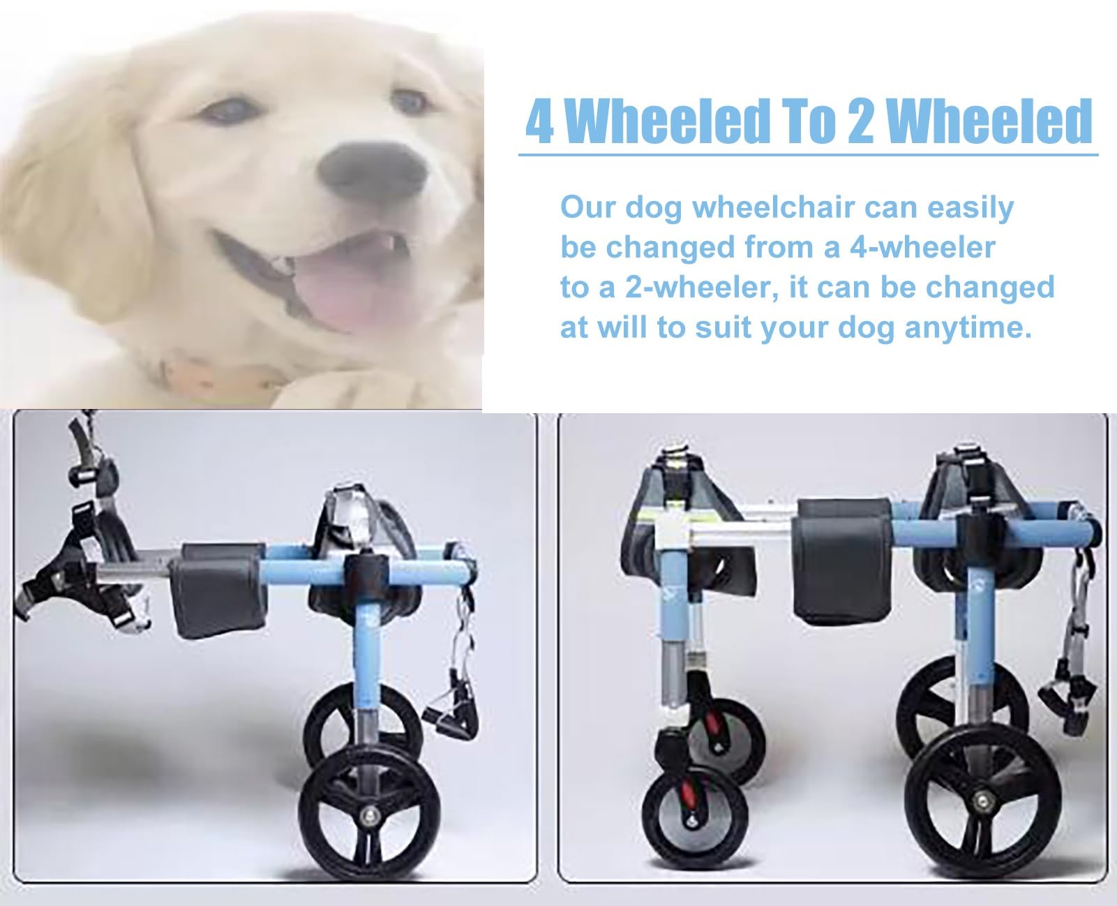 Amazon.com: Jievmrs Dog Wheelchair Full Support Dog Wheelchair for Amazon.com: Jievmrs Dog Wheelchair Full Support Dog Wheelchair for