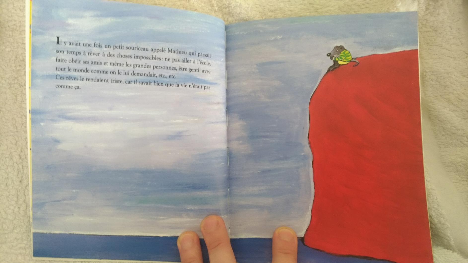 Mathieu : Solotareff, Grégoire: Amazon.fr: Livres