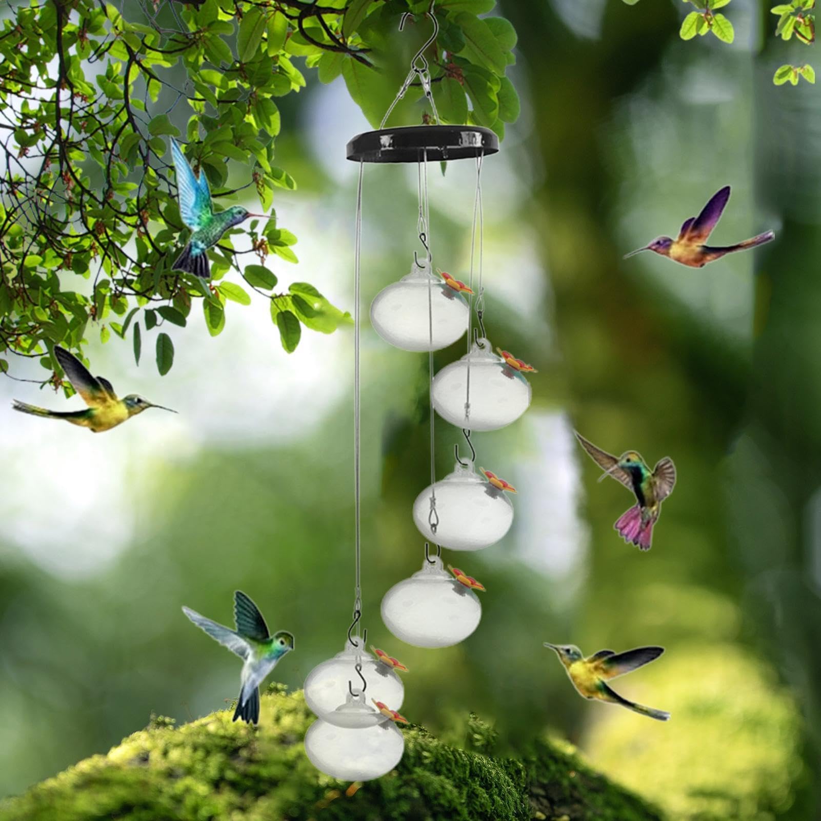 Mangiatoia per colibrì con campanelli eolici, mangiatoia per colibrì