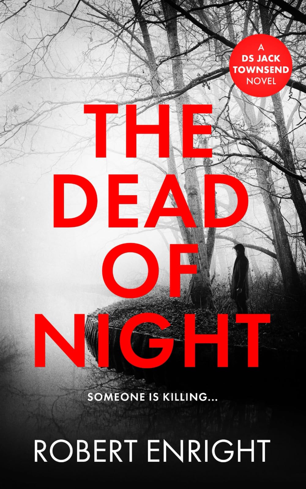 The Dead Of Night (The DS Jack Townsend Crime Series)