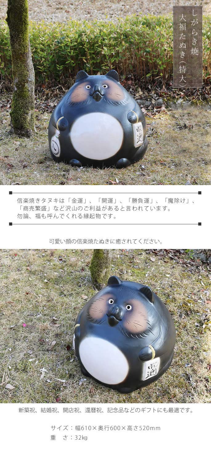 Amazon.co.jp: 信楽焼 たぬき【大福たぬき 特大 ta-0349】縁起物 