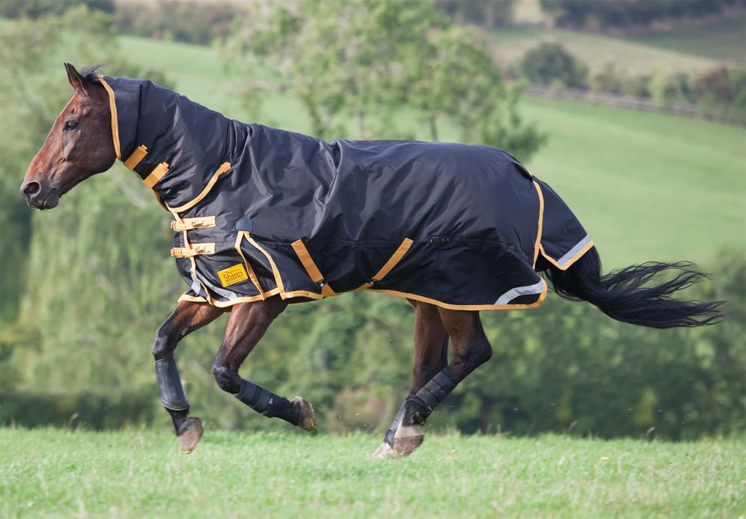 Horse Rugs & Sheets new shires stormbreaker combo heavyweight 300g