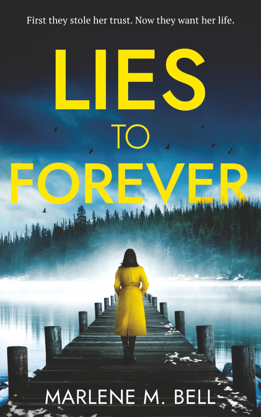 Lies to Forever: A Domestic Thriller Mystery - They Stole Her Trust, Now They Want Her Life