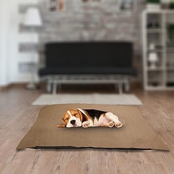 SITSNOOZE Dog Bed Ultra Soft Nylon Material Mat Football Design Pet Bed , Machine Washable Cozy Place for Your Furry Friend , Size -Large Colour Beige