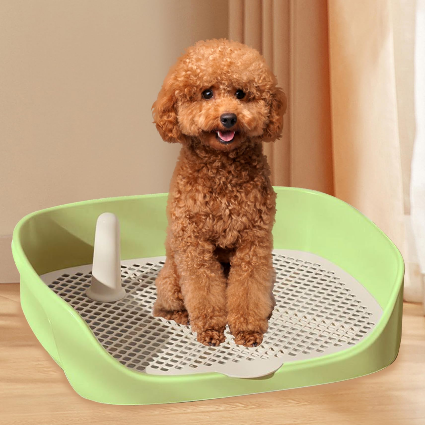 Bac de Toilettes pour Chiens 15.8x11.8x4.3 dans Un entraînement de Toilettes en Plastique sécurisé Amovible