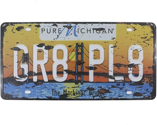 Patente de auto de metal y estaño de 6 x 12 pulgadas, estilo vintage para decoración de casas campestres, baños y paredes de bares, Metal, Azul,