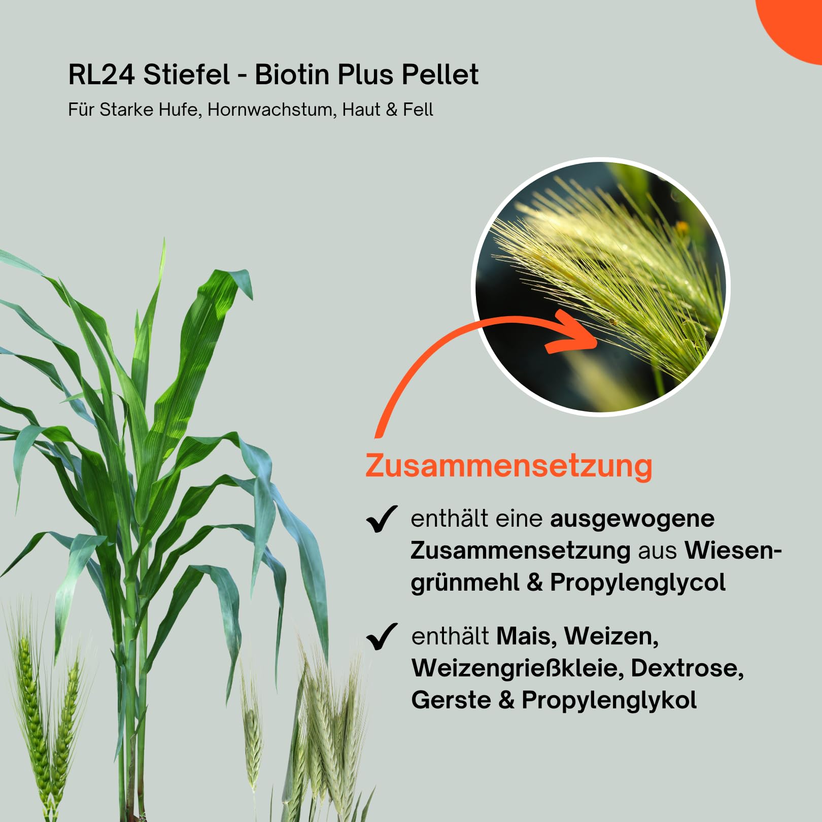 RL24 Stiefel - Biotin Plus Pellet – 2 x 1000 g Dose (2er Set) | Für starke Hufe, Hornwachstum, Haut & Fell – Ergänzungsfuttermittel mit Biotin & Zink – bei Biotinmangel & Fellwechsel