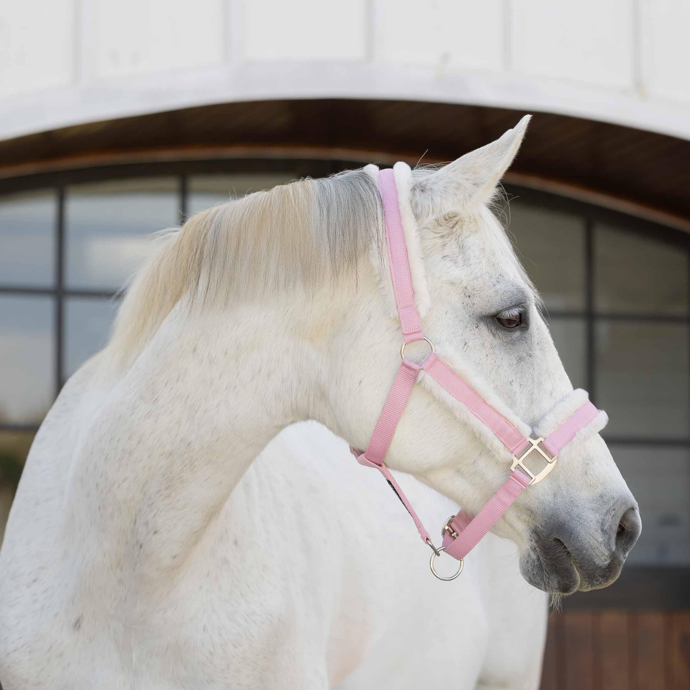 Equinavia Valkyrie - Cabestro de caballo de forro polar ultra ajustable, acolchado con cincha de nailon, color rosa dulce, blanco marfil, caballo